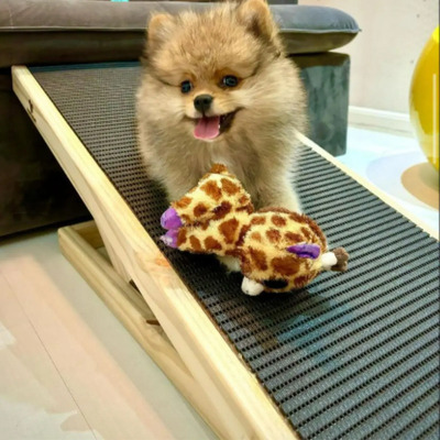 Rampa Para Cachorro Não Desliza A Pata C Regulagem De Altura Cor Marrom claro Tamanho G 2